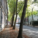Dülken-Theodor-Frings-Allee